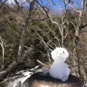 はりぃ
