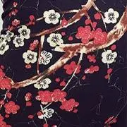 いろいろ出品 うめ