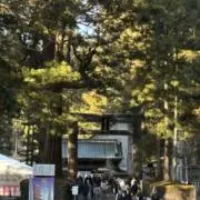 断捨離中の画像