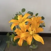 hana ☺︎の画像