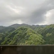 kiwiの画像
