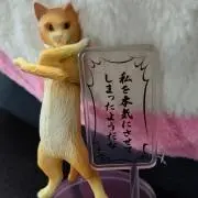 ブチャラティの画像
