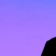 みの画像