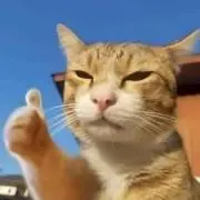 ルオン