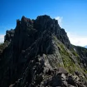 KOHの画像
