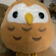 SATの画像