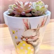 きなこ︎☺︎の画像