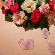 DMCの画像
