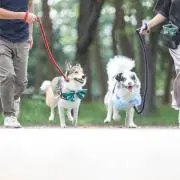 ぽよぽよ