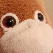 gya