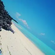 りーちゃんの画像