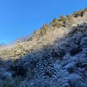 浜田の画像