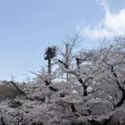 ayの画像