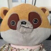 あらいくん。
