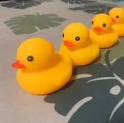 だーの画像