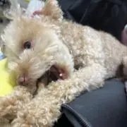 なちお