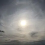 dセールの画像