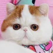 ♡ちくわ♡