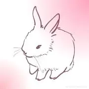 うさ✧無言ok✧の画像