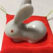 うーちゃんの画像
