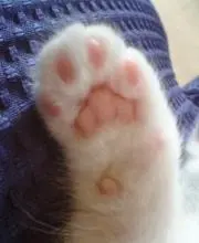 雫の画像