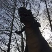 たろうの画像