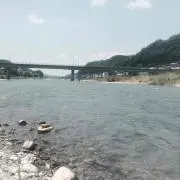 こったんの画像