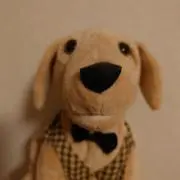 トムトム