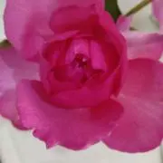 ピンクブーケ(*˘︶˘*).。.:*♡の画像