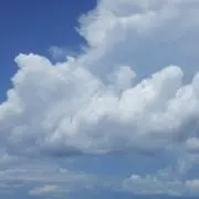 ろわじーるの画像