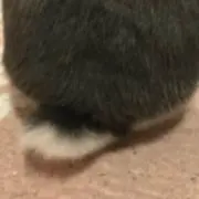 まる丸。
