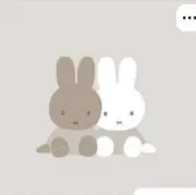 : )の画像