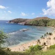 hanayaの画像