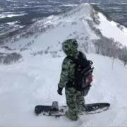 toyosanの画像