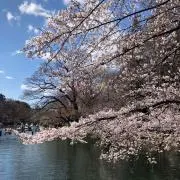 なな
