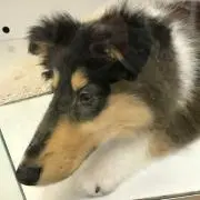 ひろ