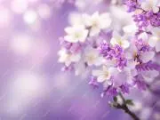 ⭐️ちぃSHOP⭐送料無料❣即購入OK❣の画像