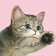 momoの画像