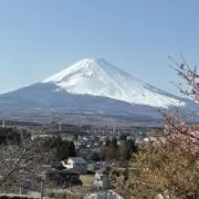 をんくんの画像
