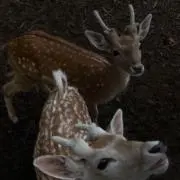 0_oooの画像
