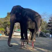 ☆あゆみ☆の画像