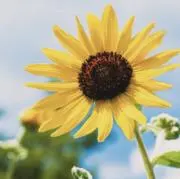 ♡tigの画像