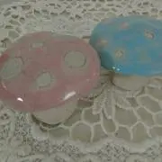 きのこの画像