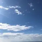 PRINの画像