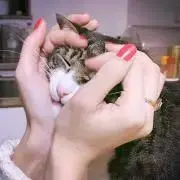 maの画像