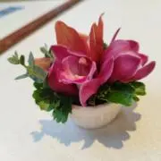 まみちゃんの画像