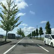 ❁にじかか❁