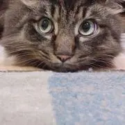 さえ✿