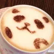 尚の画像