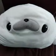 ごまちゃんの画像